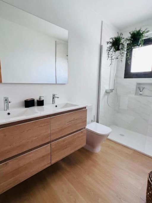 Sueno Del Drago Appartement Icod De Los Vinos