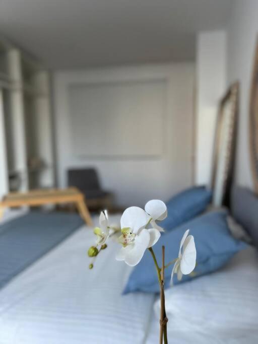 Apartment Sueno Del Drago